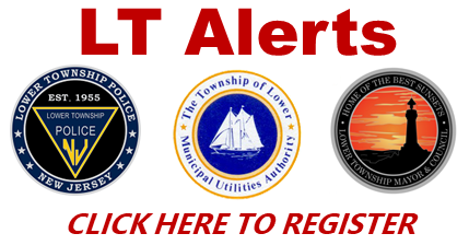 LT Alerts Reg Logo